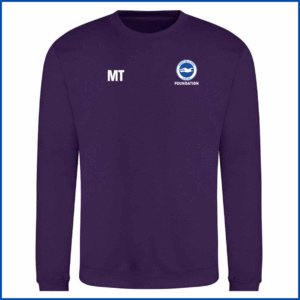 AWD Sweatshirt (JH030B - JH030) Purple