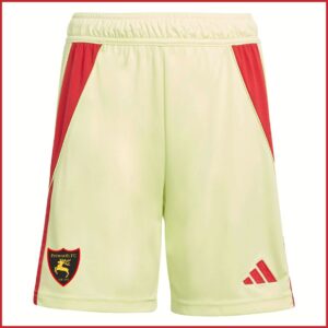 Adidas Tiro 24 GK Shorts (JC6206/JI6206) Pulse Yellow