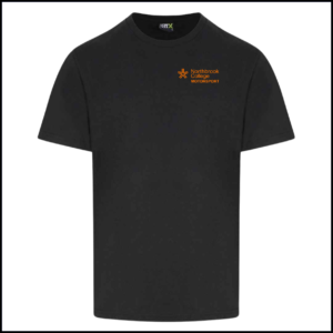 Pro RTX Pro T-Shirt (Adults) RX151 (Black)