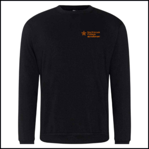 Pro RTX Pro Sweatshirt (Adults) RX301 (Black)