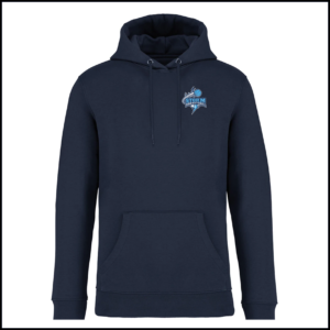 Native Spirit Unisex Heavyweight Hooded Sweatshirt (Adults) NS401 (Navy)