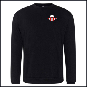 Pro RTX Pro Sweatshirt (Adults) RX301 (Black)