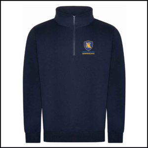 Pro RTX Pro 1/4 Neck Zip Sweatshirt (Adults) RX305 (Navy)