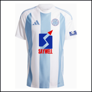 Adidas Striped 24 Jersey (Adults) IW4555 (Sky/White)