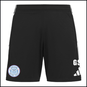 Adidas Tiro 25 Competition Training Shorts (Coaches Adults) JF0571 (Black/Team Grey Four)