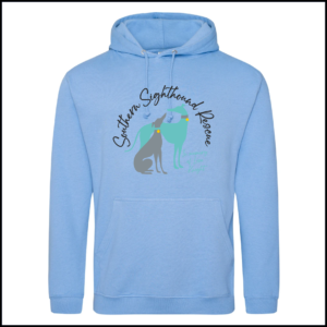 AWDis College Hoodie (Adults) JH001 (Cornflower Blue)