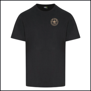 Pro RTX Pro T-Shirt (Adults) RX151 (Black)