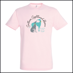 Sols Regent T-Shirt (Adults) 11380 (Pale Pink)