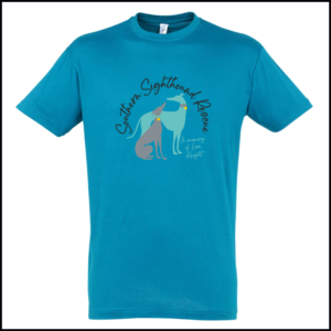 Sols Regent T-Shirt (Adults) 11380 (Aqua)