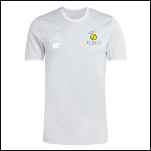 Adidas Entrada 26 Jersey (Adults) JZ2511 (Team Light Grey/White)