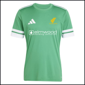 Adidas Squadra 25 Short Sleeve Jersey (Adults) JN7485 (Team Green/White)
