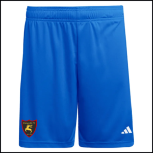 Adidas Entrada 26 Match Shorts (Adults) JZ2520 (Team Royal Blue/White)